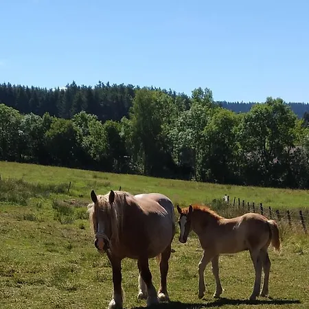 Homestay Au Perche *