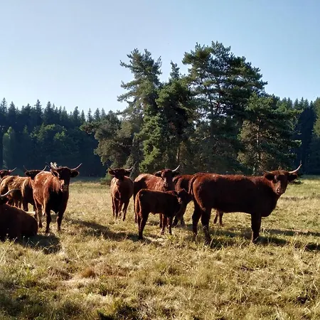 בית אירוח Au Perche Aix-la-Fayette