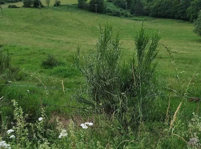 Au Perche * Aix-la-Fayette