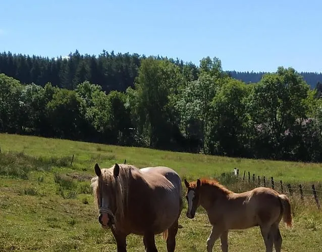 Kwatera prywatna Au Perche *